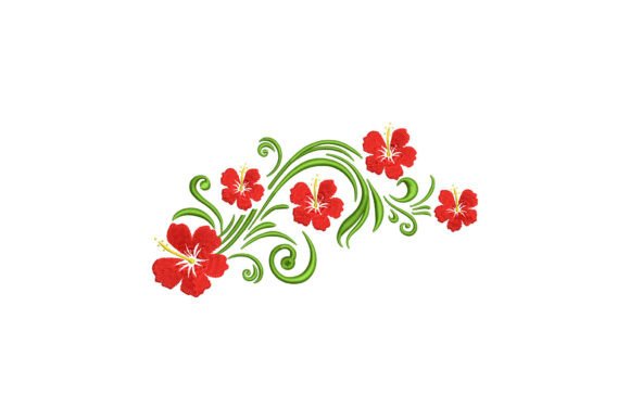 Hibiscus Flowers